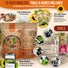25 Summer Greens & Vegetable Seeds Variety Pack