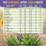 35 Medicinal & Tea Herb Seeds Variety Pack