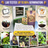 20 Edible Flower Seeds Variety Pack