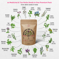 21 Medicinal & Tea Herb Seeds 4600+ Non GMO Heirloom Seeds for Planting