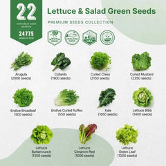 22 Lettuce & Salad Greens Seeds Variety Pack - Organo Republic seeds store 22 Lettuce & Salad Greens Seeds Variety Pack