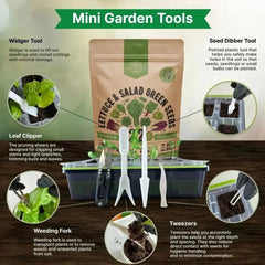 22 Lettuce & Salad Greens Seeds Variety Pack - Organo Republic seeds store 22 Lettuce & Salad Greens Seeds Variety Pack