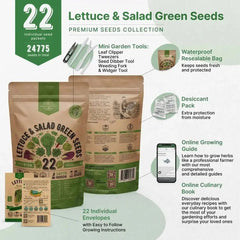 22 Lettuce & Salad Greens Seeds Variety Pack - Organo Republic seeds store 22 Lettuce & Salad Greens Seeds Variety Pack