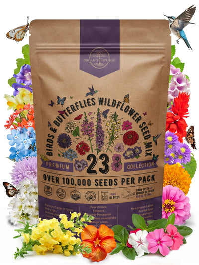 Butterfly Garden Wildflower Seeds Mix – Non-GMO Heirloom