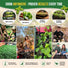 Culinary Herb Seeds Variety Pack