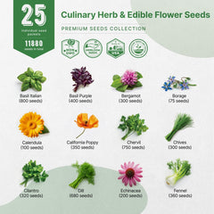 25 Culinary Herbs & Edible Flower Seeds Variety Pack for Planting Indoor & Outdoors. - Organo Republic