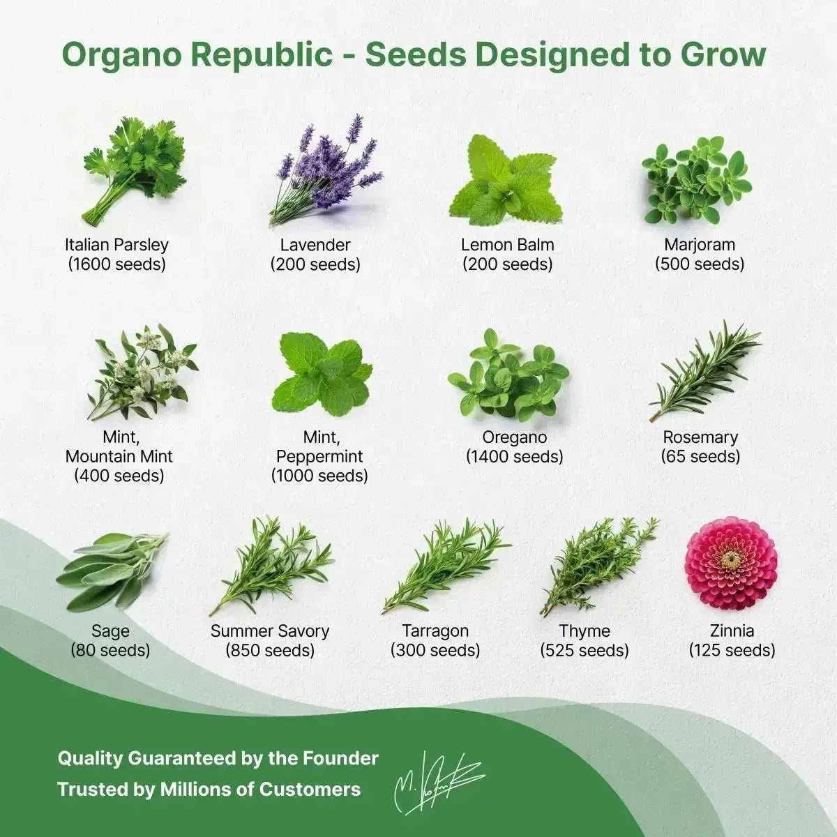 25 Culinary Herbs & Edible Flower Seeds Variety Pack - Organo Republic seeds store 25 Culinary Herbs & Edible Flower Seeds Variety Pack