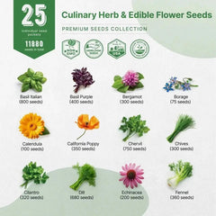 25 Culinary Herbs & Edible Flower Seeds Variety Pack - Organo Republic seeds store 25 Culinary Herbs & Edible Flower Seeds Variety Pack
