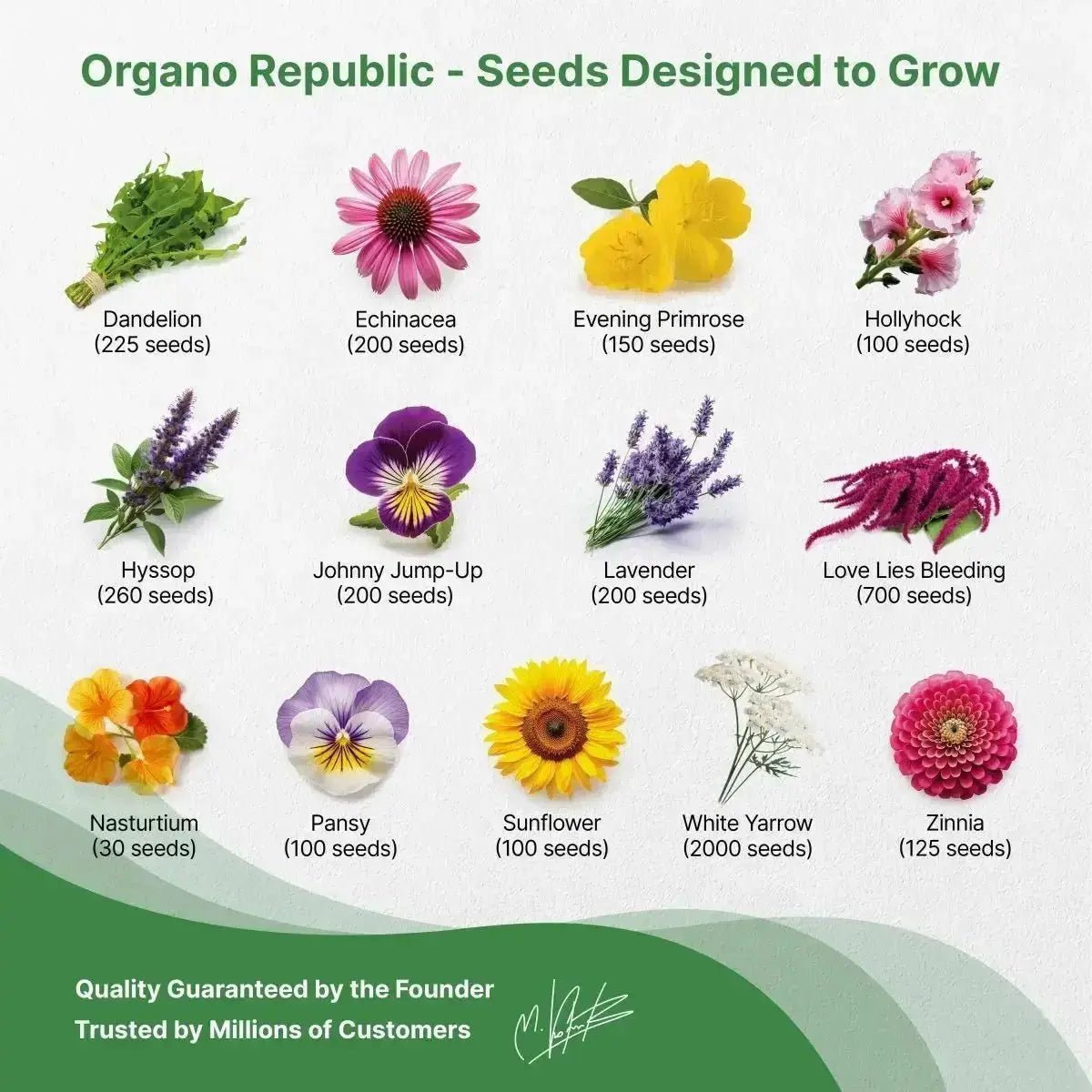 25 Edible Flower Seeds Variety Pack - Organo Republic seeds store 25 Edible Flower Seeds Variety Pack