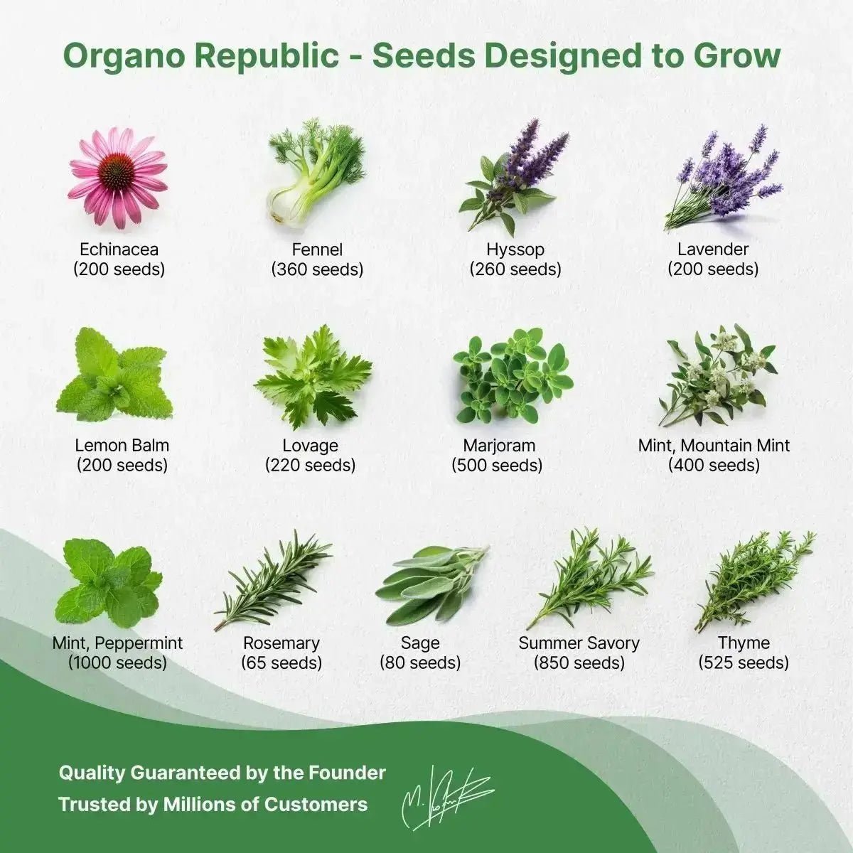 25 Medicinal & Tea Herb Seeds Variety Pack - Organo Republic seeds store 25 Medicinal & Tea Herb Seeds Variety Pack