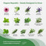 25 Medicinal & Tea Herb Seeds Variety Pack for Planting Indoor & Outdoors - Organo Republic