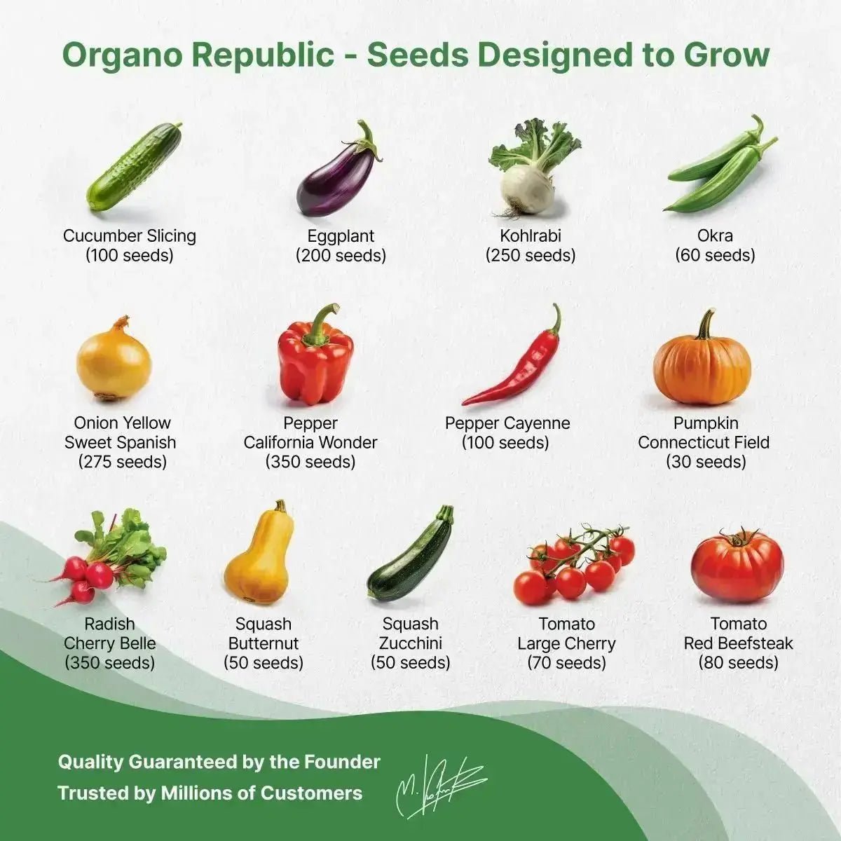 25 Most Popular Vegetable Seeds Variety Pack - Organo Republic seeds store 25 Most Popular Vegetable Seeds Variety Pack