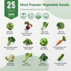 25 Most Popular Vegetable Seeds Variety Pack - Organo Republic seeds store 25 Most Popular Vegetable Seeds Variety Pack