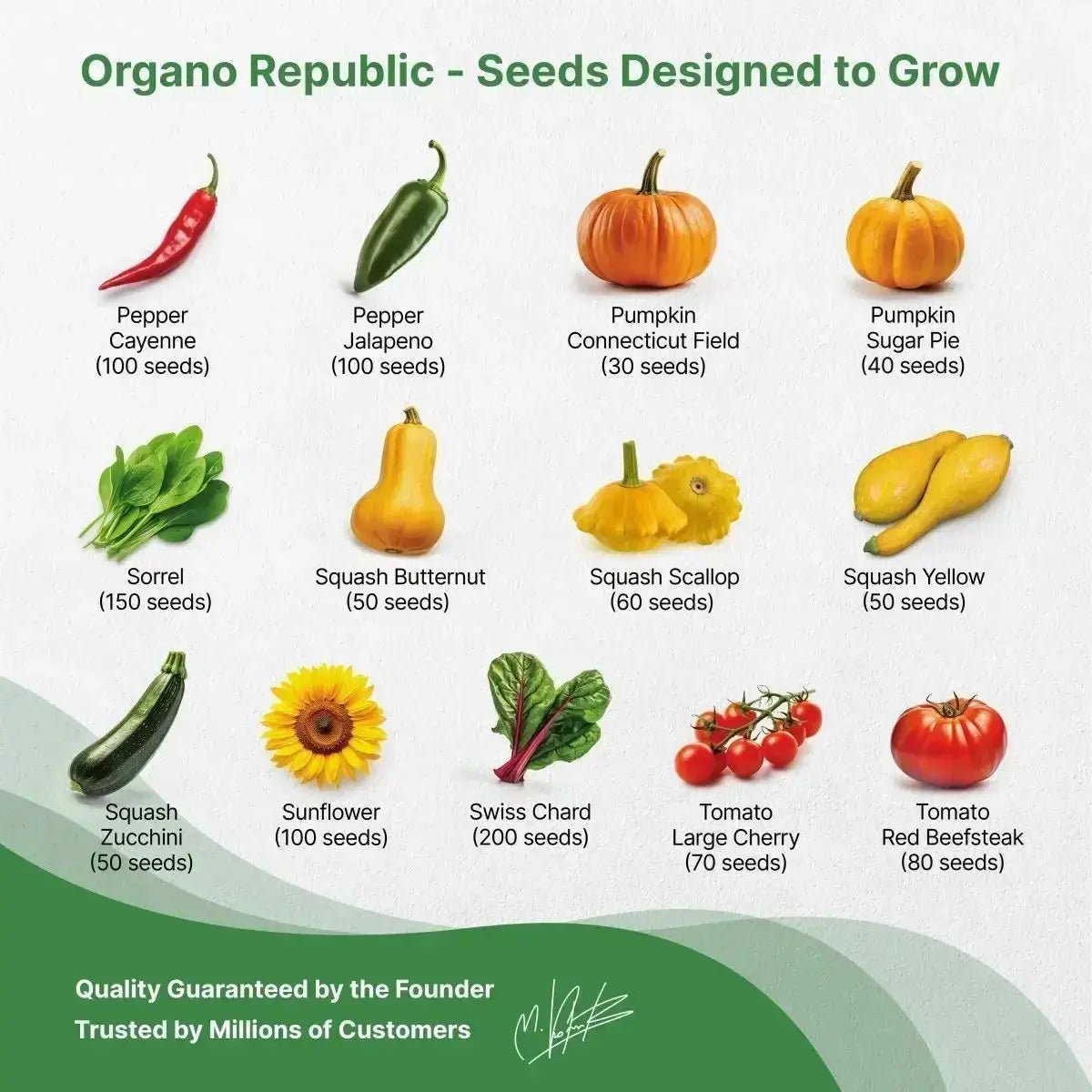 25 Summer Greens & Vegetable Seeds Variety Pack - Organo Republic seeds store 25 Summer Greens & Vegetable Seeds Variety Pack