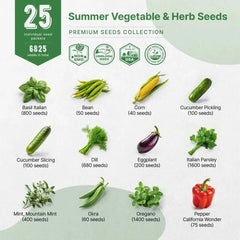 25 Summer Vegetable & Herb Garden Seeds - Organo Republic seeds store 25 Summer Vegetable & Herb Garden Seeds