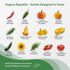 25 Summer Vegetable & Herb Garden Seeds - Organo Republic seeds store 25 Summer Vegetable & Herb Garden Seeds