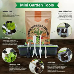 25 Summer Vegetable & Herb Garden Seeds - Organo Republic seeds store 25 Summer Vegetable & Herb Garden Seeds
