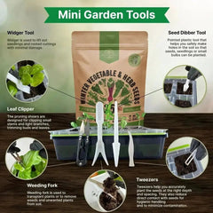 25 Winter Vegetable & Herb Seeds Variety Pack - Organo Republic seeds store 25 Winter Vegetable & Herb Seeds Variety Pack