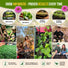 25 Culinary Herbs & Edible Flower Seeds Variety Pack