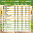 25 Winter Vegetable Seeds Variety Pack