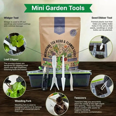 30 Medicinal Tea Herb & Flower Seeds Variety Pack - Organo Republic seeds store 30 Medicinal Tea Herb & Flower Seeds Variety Pack