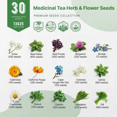 30 Medicinal Tea Herb & Flower Seeds Variety Pack - Organo Republic seeds store 30 Medicinal Tea Herb & Flower Seeds Variety Pack