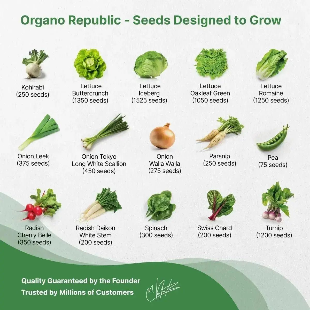 30 Most Popular Winter Vegetable Seeds Variety Pack - Organo Republic seeds store 30 Most Popular Winter Vegetable Seeds Variety Pack