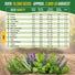 30 Herb Seeds - Medicinal & Tea Variety Pack
