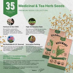35 Medicinal & Tea Herb Seeds Variety Pack - Organo Republic seeds store 35 Medicinal & Tea Herb Seeds Variety Pack