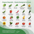 40 Vegetable Seeds Variety Pack - 26,000+ Non GMO Heirloom Seeds for Planting - Organo Republic