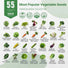 55 Vegetable Seeds Variety Pack - 35,600 Non - GMO Heirloom Seeds for Planting Vegetables and Fruits - Organo Republic