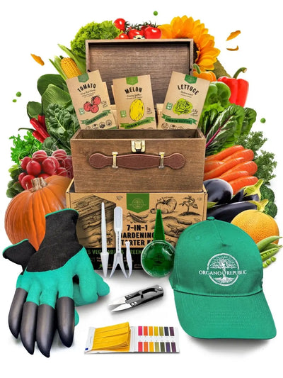 Greens & Vegetable Seeds Variety Pack – Non-GMO Heirloom