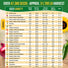 75 Greens & Vegetable Seeds Variety Pack Organo Republic