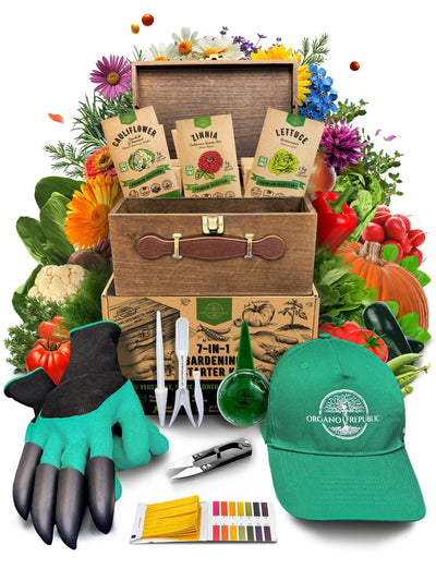 Herb & Vegetable Seeds Variety Pack – Non-GMO Heirloom