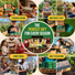 75 Greens & Vegetable Seeds Variety Pack