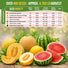 7 Melon & Watermelon Seeds Variety Pack