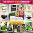 8 Onion Seeds Variety Pack