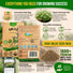 Anise Seeds Pack 5G