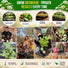Anise Seeds Pack 5G