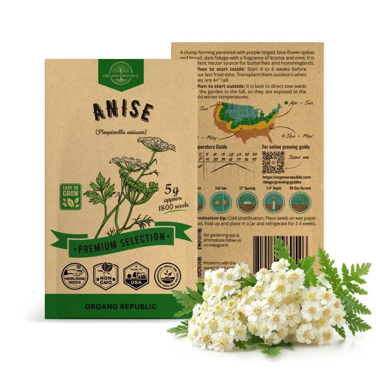 Anise Seeds Pack 5G - Organo Republic seeds store Anise Seeds Pack 5G