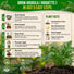 Arugula Roquette Seeds Pack 5G