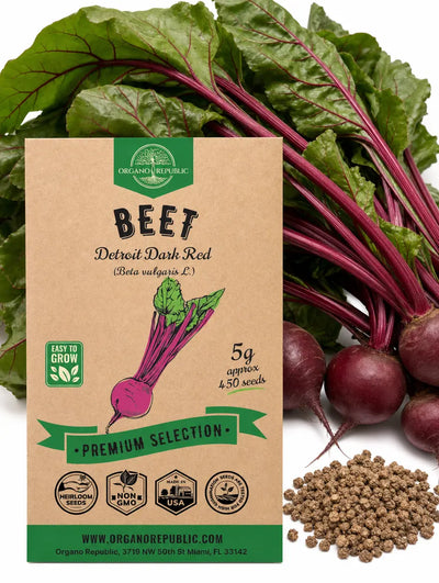 Detroit Dark Red Beet Seeds – Non-GMO Heirloom