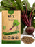Beet Early Wonder Seeds
