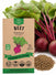 Beet Ruby Queen Seeds - Organo Republic