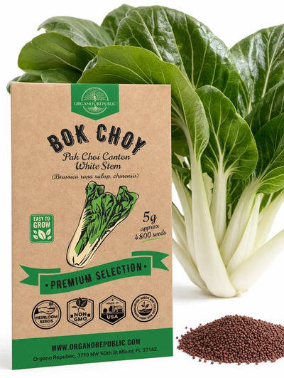 Bok Choy Seeds – Non-GMO Heirloom