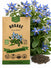 Borage Seeds