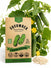 Boston Pickling Cucumber Seeds