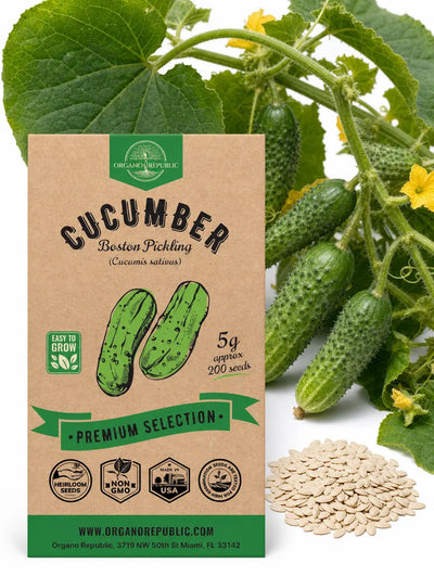 Boston Pickling Cucumber Seeds – Non-GMO Heirloom