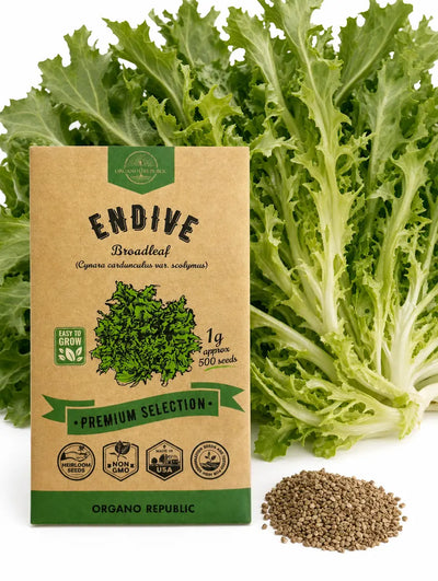 Escarole Seeds – Broadleaf Endive, Non-GMO Heirloom
