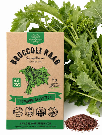 Broccoli Raab Seeds (Rapini) – Non-GMO Heirloom